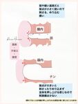日本最优秀成人性爱女郎「Liris Amano」「RirisuAmano」特辑全资源