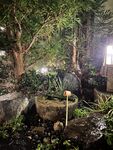 日本最优秀成人性爱女郎「Liris Amano」「RirisuAmano」特辑全资源