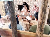 Twitter Lolita〖Y Jiangjiangjiang〗주인의 아버지에게 훈련받은 귀여운 인간형 새끼.