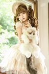 Momo bodoh "Kucing Ragdoll"