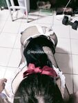 推特13万粉萝莉风coser可盐可甜TS娘【小舞酱】露脸私拍，嗲声嗲气3P前后夹击直男最爱