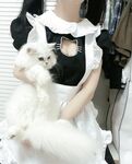 Si Ke Yujie, ang pinakamataas na diyosa ni Loli [Ginger Tutu], ang iyong diyosa, ang aking asong babae~ Kung mas pinahiya ang maliit na aso, mas gusto niya ito, at natagos ng malaking titi na tatay