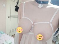 Koleksi lapan puluh tiga manis