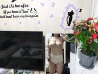 Koleksi lapan puluh tiga manis