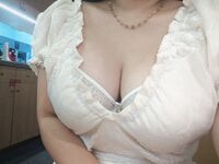 Koleksi lapan puluh tiga manis