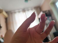 Koleksi lapan puluh tiga manis