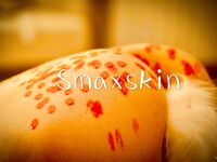 推特頂級身材露出狂人少女嫩妹【Smaxskin】私拍，宜家全裸露出母狗式調教啪啪啪無套內射無毛嫩穴