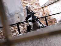 G44不会受伤- NO.86 少女前线HS-50 