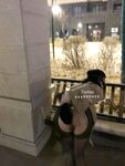 万人求购推特极品大奶长腿御姐【芙烈亚】私拍，公园地铁露出啪啪啪被炮友肏到奶子起飞