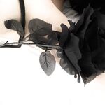万人求购推特极品大奶长腿御姐【芙烈亚】私拍，公园地铁露出啪啪啪被炮友肏到奶子起飞