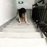 万人求购推特极品大奶长腿御姐【芙烈亚】私拍，公园地铁露出啪啪啪被炮友肏到奶子起飞