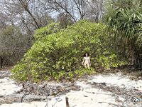 希威社红模茂木希子普吉岛旅拍露出花絮（1）