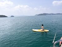 希威社 紅模茂木希子 普吉島旅拍 露出花絮（2）