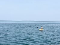 希威社 紅模茂木希子 普吉島旅拍 露出花絮（2）