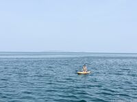 希威社 紅模茂木希子 普吉島旅拍 露出花絮（2）
