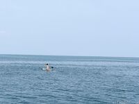 希威社 紅模茂木希子 普吉島旅拍 露出花絮（2）