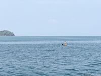 希威社 紅模茂木希子 普吉島旅拍 露出花絮（2）