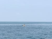 希威社 紅模茂木希子 普吉島旅拍 露出花絮（2）