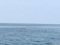 希威社 紅模茂木希子 普吉島旅拍 露出花絮（2）