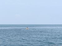希威社 紅模茂木希子 普吉島旅拍 露出花絮（2）