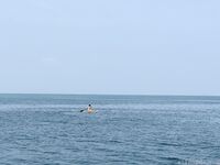 希威社 紅模茂木希子 普吉島旅拍 露出花絮（2）