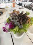 希威社 紅模茂木希子 普吉島旅拍 露出花絮（2）