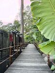 希威社 紅模茂木希子 普吉島旅拍 露出花絮（2）