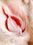 Twitter's best pink pussy open goddess [Sister Tao] privately shoots various outdoor exposures, hooking up with single men, 3P, and cumming without a condom, the highlight is the exposure of B-buds