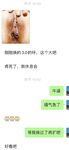 เทียบได้กับปรมาจารย์ไก่ยักษ์ในยุโรปและอเมริกา [Uncle BBB] บน Twitter ไก่นั้นหนาพอ ๆ กับปลายแขนของหญิงสาวและหญิงสาวสวมนาฬิกาอันโด่งดังบนไก่ของเธอก็กระตุกกับทาสที่สามีซึ่งภรรยามีชู้