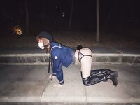 推特30粉的超人气网红小母狗【瓦西列娃的日记本Vasileva1122】露脸福利私拍，母狗调教喝尿啪啪双通