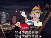 推特30粉的超人气网红小母狗【瓦西列娃的日记本Vasileva1122】露脸福利私拍，母狗调教喝尿啪啪双通