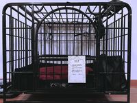 推特30粉的超人气网红小母狗【瓦西列娃的日记本Vasileva1122】露脸福利私拍，母狗调教喝尿啪啪双通