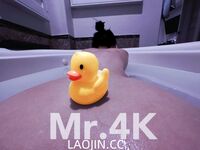 2024年流出，推特中產小夫妻【4K_Eternal】淫亂生活，練瑜伽的極品嬌妻，被眾單男玩弄