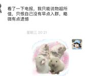 6월 최신 워터리스 첫 혜택! 트위터의 희귀 한 가슴 여신 [숲속의 작은 다람쥐-Shen Jiayi]는 말을해야할지 말지 말해야합니다. 이 두 개의 큰 미트볼은 NBA 선수가 아니기 때문에 통제 할 수 없을 것 같습니다.
