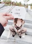 Beribu-ribu orang sedang mencari isteri terbaik, jalang berbadan tegap dan berpayudara besar di Twitter [Fikirkanlah] Pesanan terbaru untuk fotografi peribadi, pendedahan luar dan latihan seks liar sangat seksi, sifat-sifat jalang penuh
