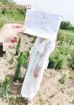 Beribu-ribu orang sedang mencari isteri terbaik, jalang berbadan tegap dan berpayudara besar di Twitter [Fikirkanlah] Pesanan terbaru untuk fotografi peribadi, pendedahan luar dan latihan seks liar sangat seksi, sifat-sifat jalang penuh