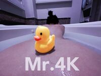 คู่รักชนชั้นกลางที่สำส่อนบน Twitter [Mr.4K] นางเอกมีรูปร่างที่ดีชอบโยคะและกอล์ฟและสนุกกับการกระตุ้นสามีซึ่งภรรยามีชู้เธอชวนชายโสดกลุ่มหนึ่งมาเย็ดภรรยาของเขา