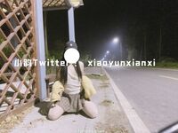 小韵仙子会员作品