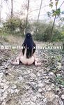 小韵仙子会员作品