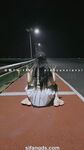 小韵仙子会员作品