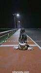 小韵仙子会员作品
