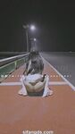 小韵仙子会员作品