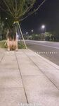 小韵仙子会员作品