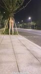 小韵仙子会员作品