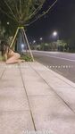 小韵仙子会员作品