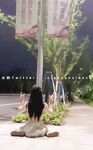 小韵仙子会员作品
