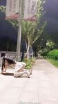 小韵仙子会员作品