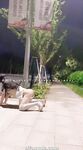 小韵仙子会员作品
