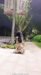 小韵仙子会员作品