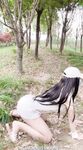 小韵仙子会员作品
